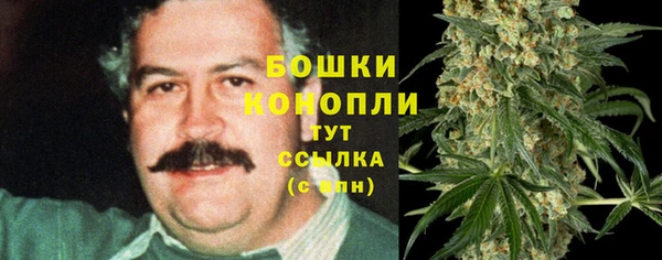 прущая мука Богданович